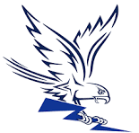 Air Force Falcons - Image 5