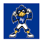 Air Force Falcons - Image 4