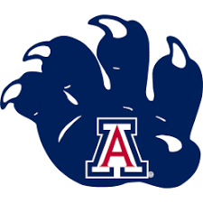 Arizona Wildcats - Image 3