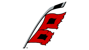 Carolina Hurricanes - Image 2