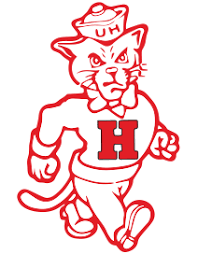 Houston Cougars - Image 3