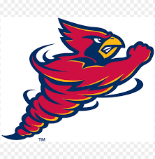 Iowa State Cyclones - Image 4