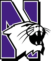 Northwestern Wildcats - Image 3