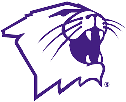 Northwestern Wildcats - Image 4