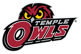 Temple Owls - Image 2