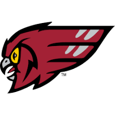 Temple Owls - Image 5