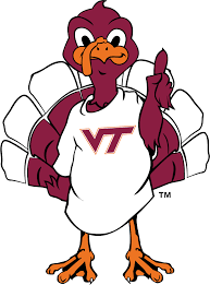 Virginia Tech Hokies - Image 4