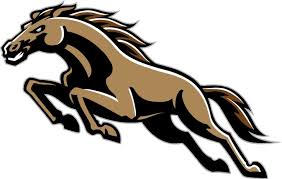 Western Michigan Broncos - Image 2
